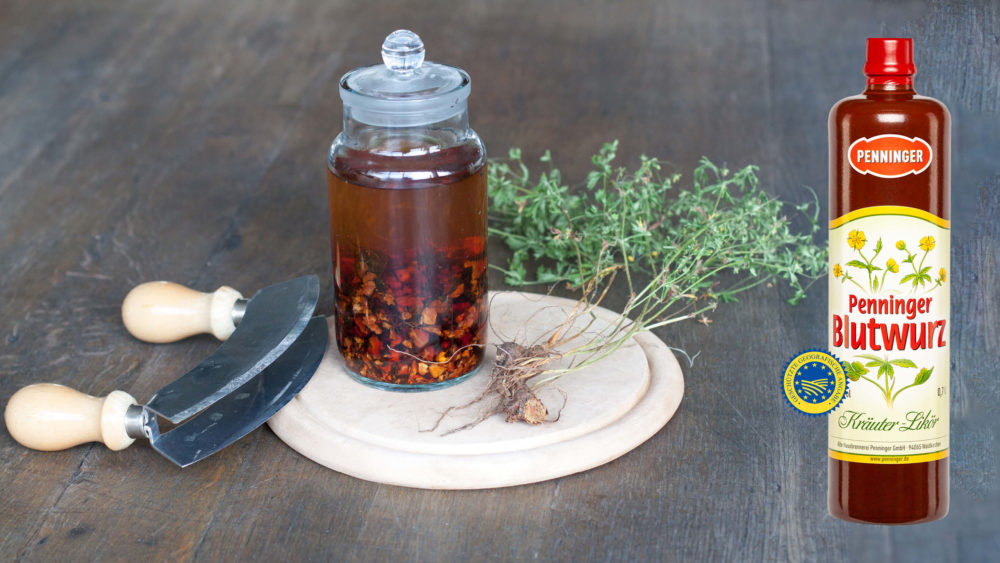 Penninger Blutwurz Geschützte Geografische Angabe