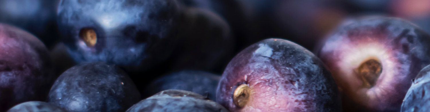 Penninger Heidelbeer Ingwer Likör